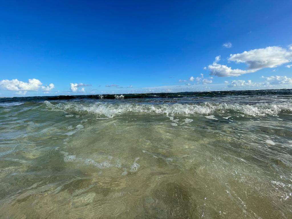 Appartement La Perle, T2 Les Pieds Dans L'Eau A 50M De La Mer Saint-Francois  Kültér fotó