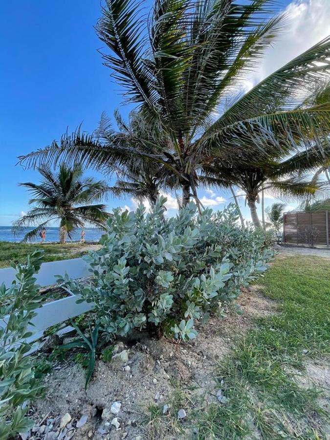 Appartement La Perle, T2 Les Pieds Dans L'Eau A 50M De La Mer Saint-Francois  Kültér fotó
